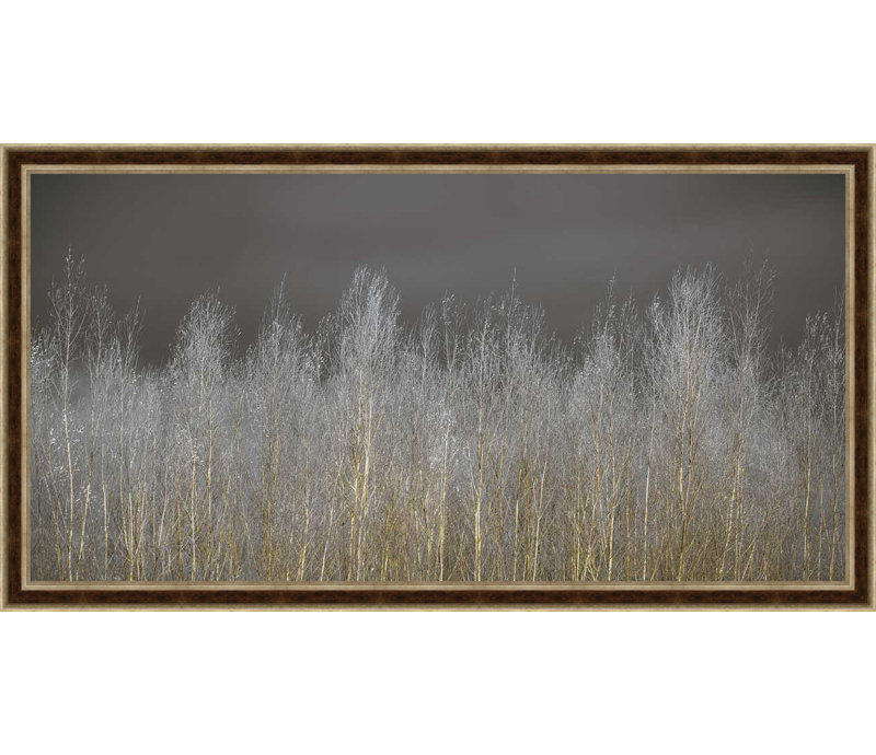 " Silver Forest "