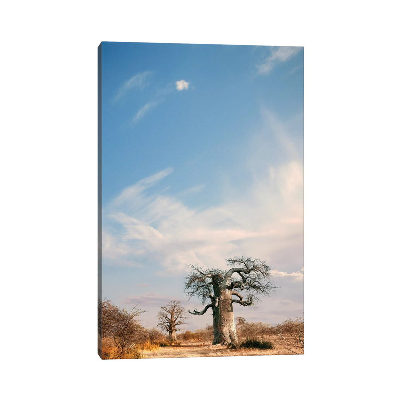 Naye Naye Baobab II 1 Piece Wrapped Canvas Wall Art, 101.6 cm H x 66.04 cm W x 3.175 cm D