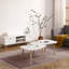 Oval Coffee Table 900, White + Oak, Stylish For Everyday Use Modern Spacious Living Room Piece
