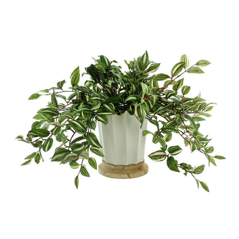 Nugent Faux Tradescantia Plant in Ceramic Vase