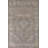 Distressed Traditional Area Rug 7x10