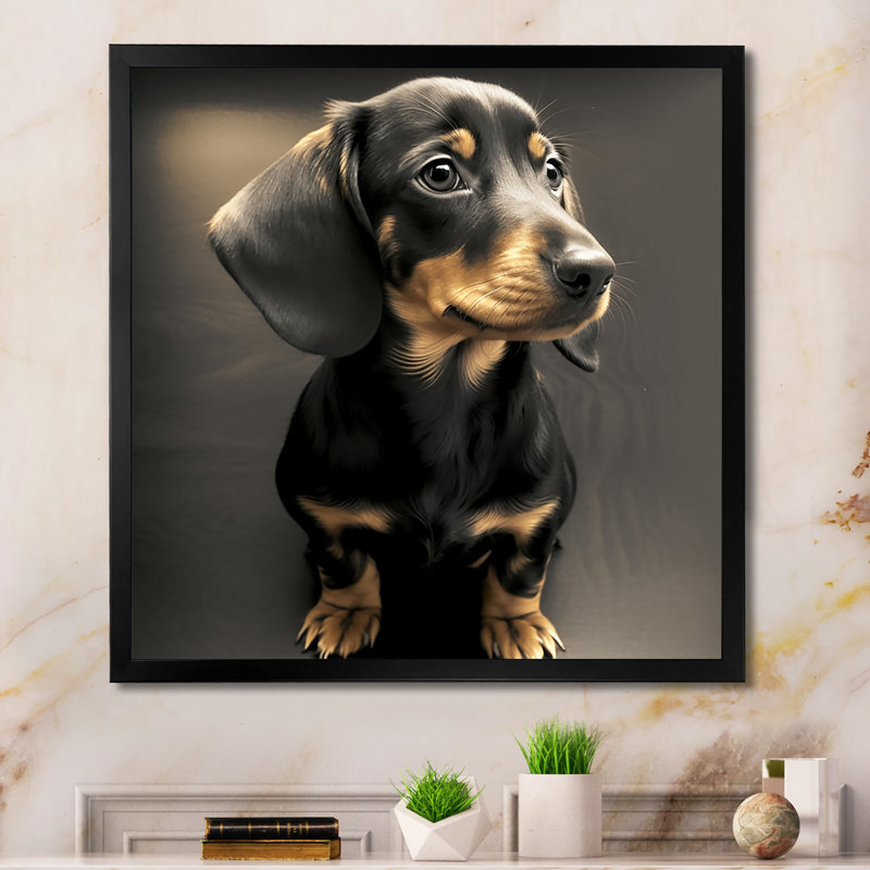 " Cute Daschund Portrait ", 36" H x 36" W x 1.5" D, Black Picture Framed Canvas