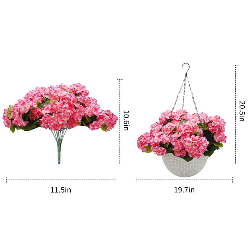 13.5cm Plant