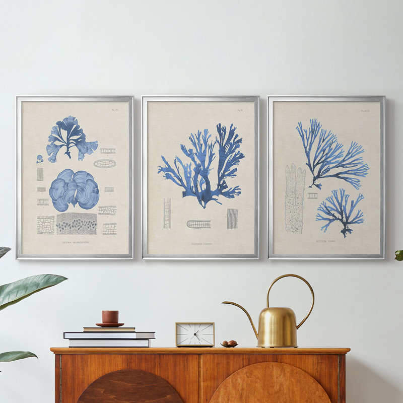 Blue Marine Algae IV - Toile tendue avec châssis sur mesure - 3 pièces, Argent argent, H 21 po x l 30 po