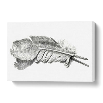 Feather - Wrapped Canvas Print