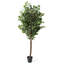 Faux arbre 82 po avec 8238 feuilles-144101395