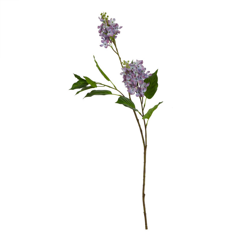 Anastasija Arrangement, Purple