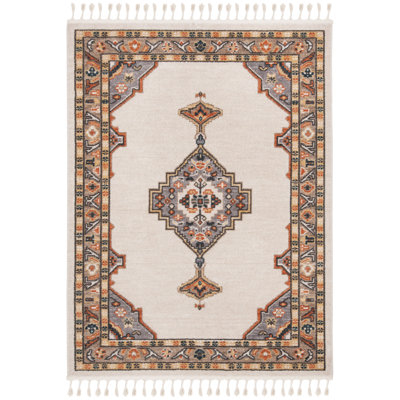 Darrow Performance Oriental Rug