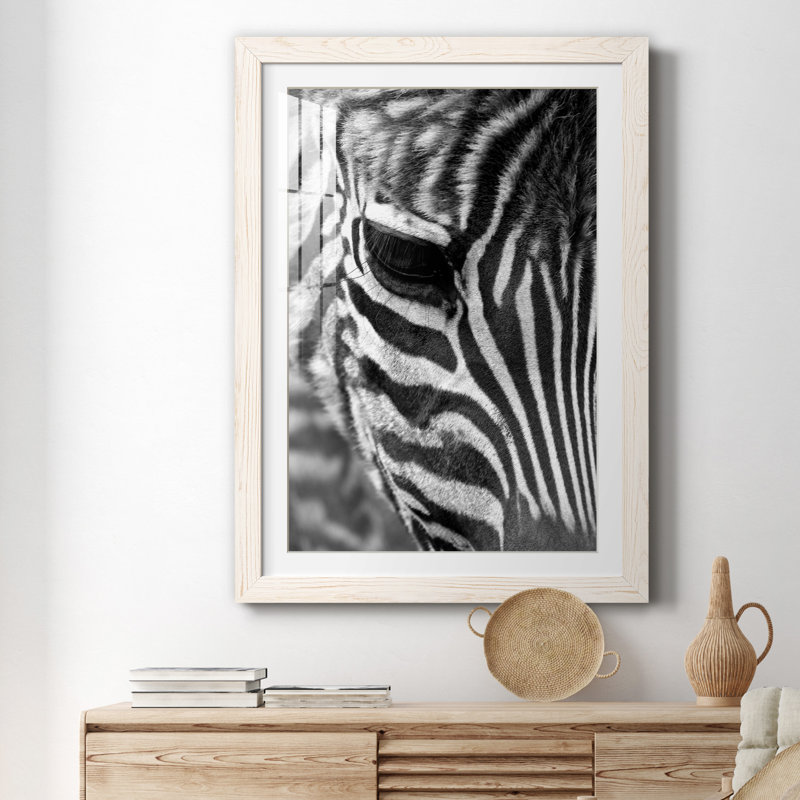 Zebra Colt - Photographie avec cadre photo, H 37,5 po x l 27,5 po x P 1,5 po, Cadre blanc