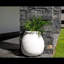 Chiapas-264760022