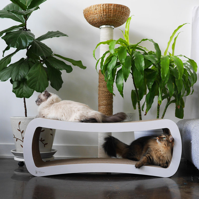 White Two-Level Cardboard Cat Scratcher Lounge