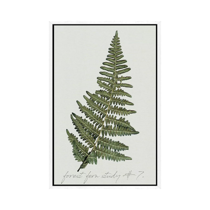Fern Studies II by Carol Robinson - Painting on Canvas, 66.04 cm H x 45.72 cm W, White Framed