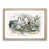 Oak Framed selected