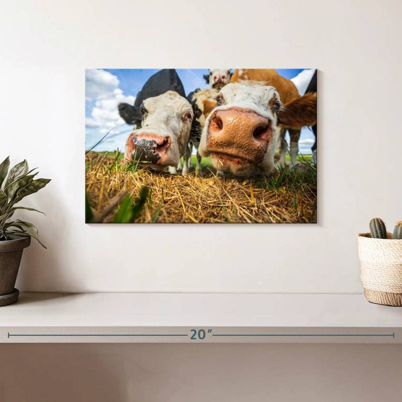Vaches curieuses Brampt, H 8 po x l 12 po