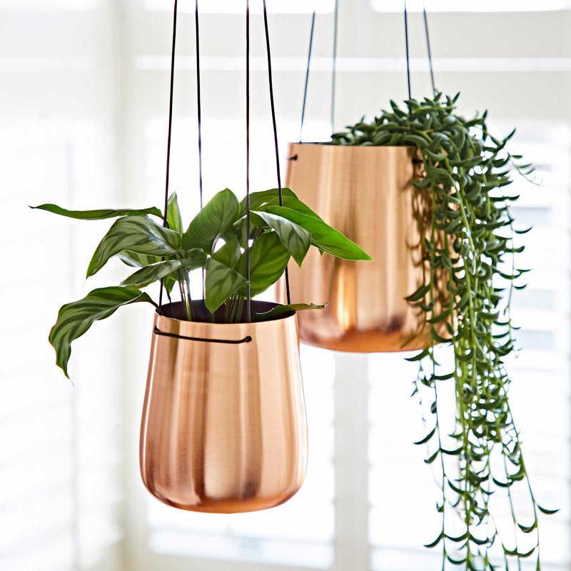 Iron Hanging Planter, 12cm H x 13cm W x 13cm D