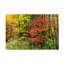 Œuvre sur toile bolich Janice Sullivan Fall New Hampshire Beautiy-104137654
