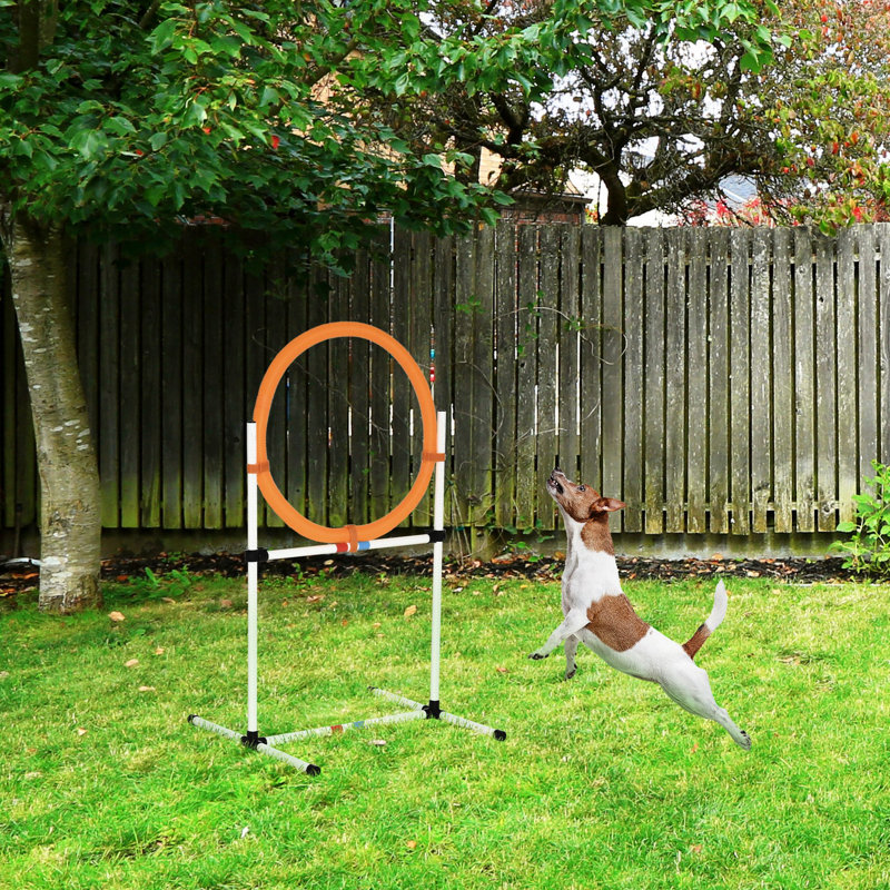 21 appareils de dressage pour chien - Anneau de saut en plastique et haie, blanc, construction robuste, avec compartiment de rangement pour sports