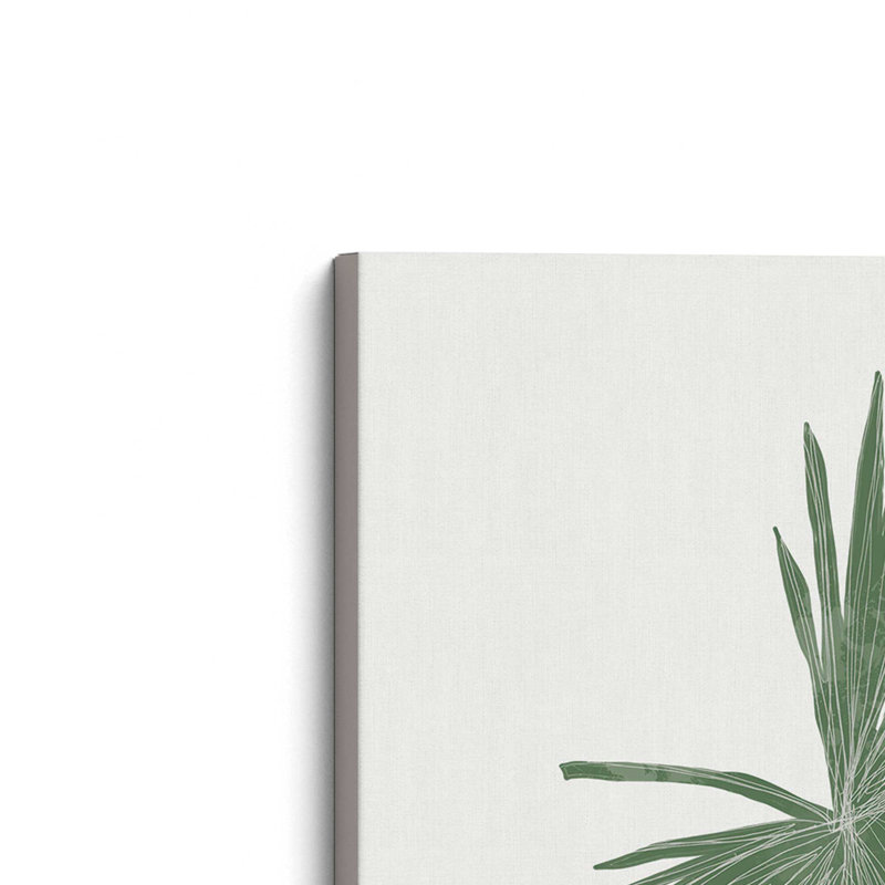 «Tropical Fan Palm» par Molly Mattin, reproduction d'art, L 36 x H 36, Ne s’applique pas, Toile tendue