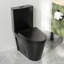 Toilette allongée moderne monobloc Ace 1,6 GPF-88234901-111041676