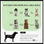 Lit pour animaux de compagnie, canapé pour animaux Pearl Design-1180606205