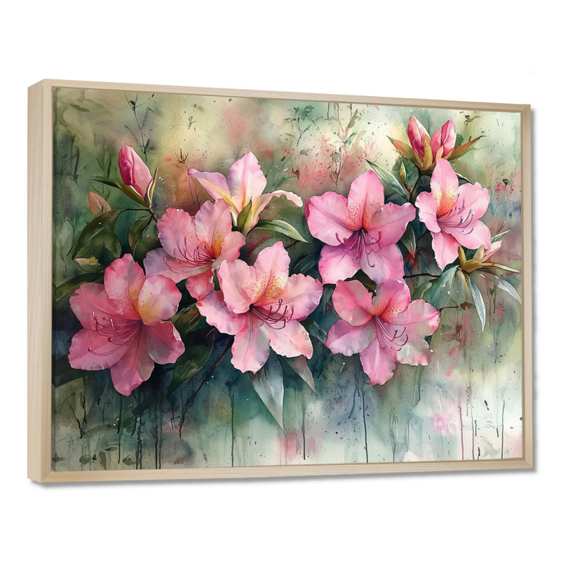 Fleur de rhododendron illiana d'été en campagne I - art mural rhododendron, H 30 po x l 40 po, Impression encadrée flottante