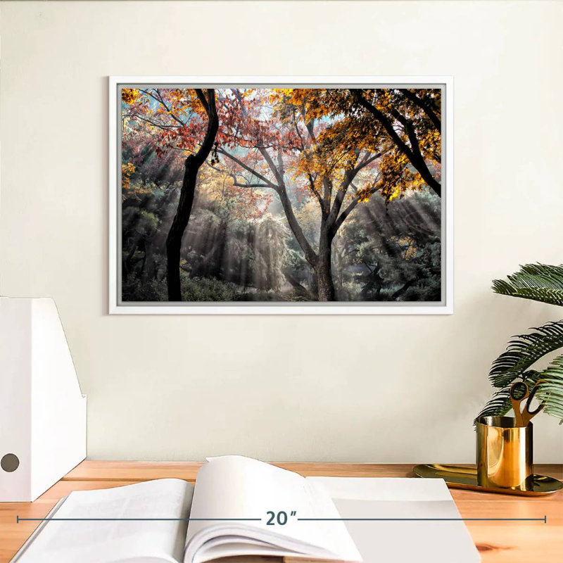 Rayons de soleil de la forêt, Cadre flottant blanc, 13 po x 9 po