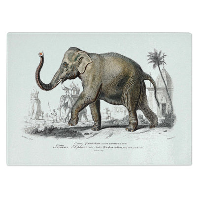 Tempered Glass Asian Elephant Chopping Board