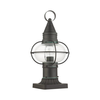 Aster Transparent Lantern Head