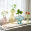 Ensemble de 6 vases à fleurs en verre de couleur champignon, petits vases à boutons pour les stations de propagation, petites jardinières mignonnes pour la décoration de bureau à domicile