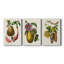Fruit of the Tropics I - Toile tendue avec châssis sur mesure - 3 pièces-315242529