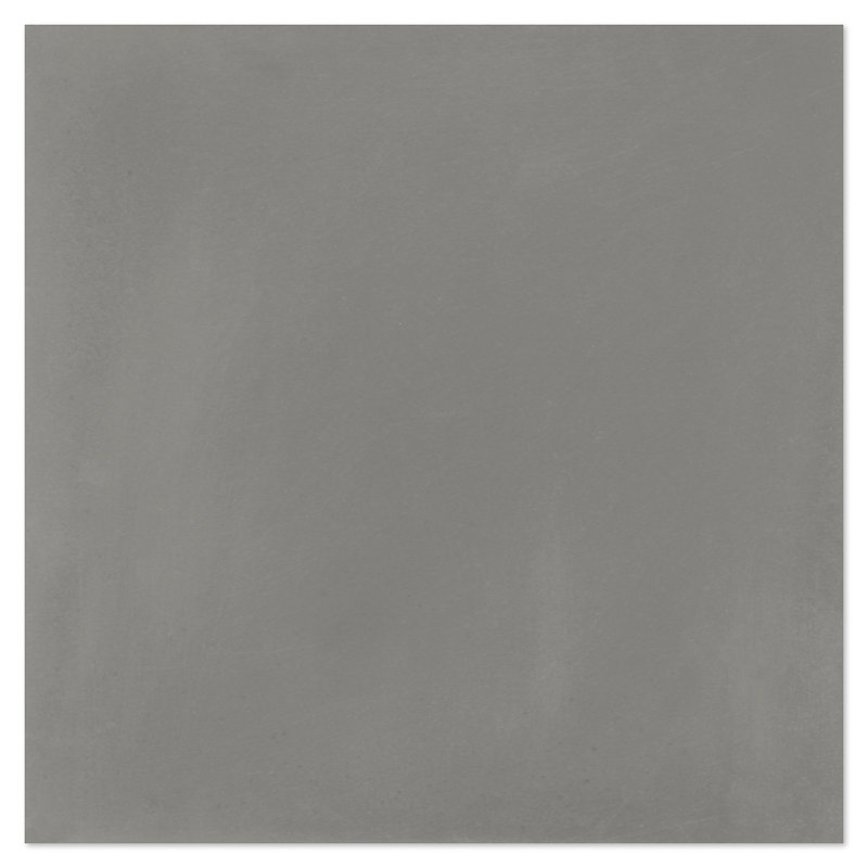 7.87 in. x 7.87 in. Matte Tile, Excalibur
