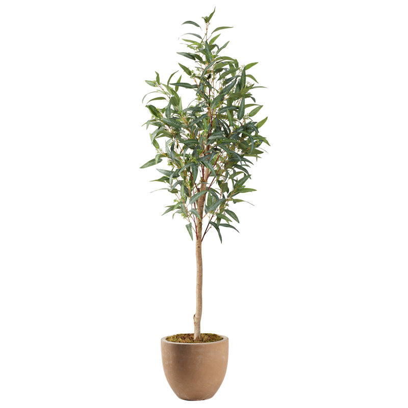 Faux Eucalyptus Tree in Planter