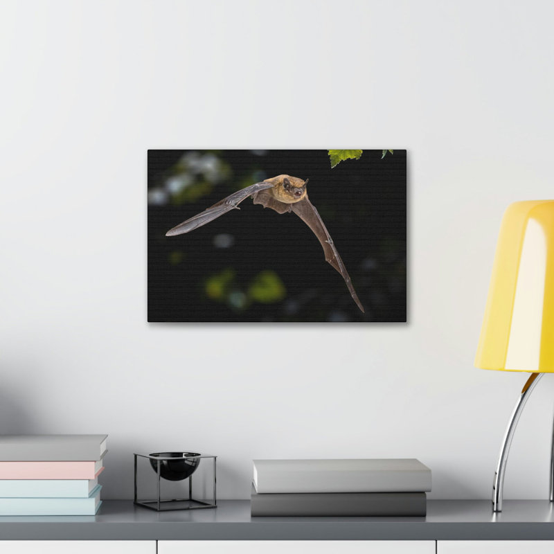 No Frame Print on Canvas, 27.94cm H x 35.56cm W
