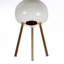 Akarsh Plant Stand