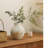 Dinatale Concrete / Cement Table Vase
