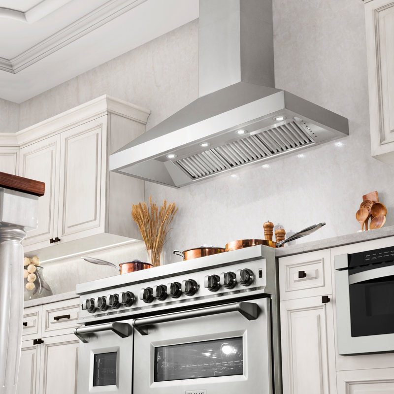 Professional 500 CFM Convertible Wall Mount Range Hood in Stainless Steel