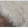 Neev Indoor Rug
