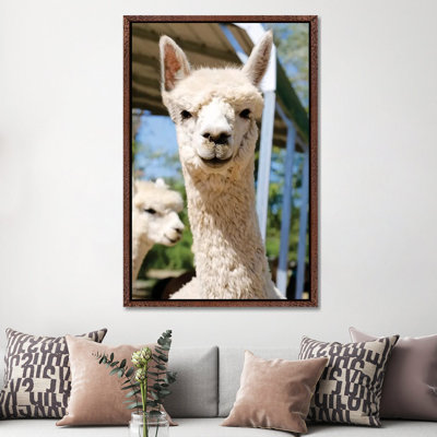 White Alpaca With Friend by Susan Vizvary - Gallery-Wrapped Canvas Giclée on Canvas