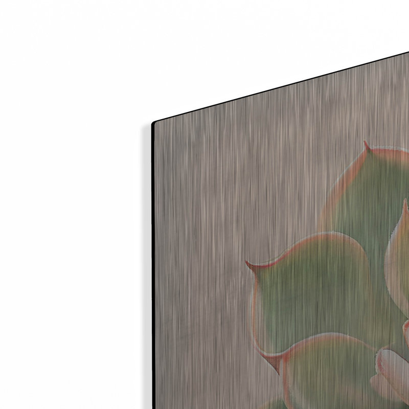 Art mural en métal Winston Porter «Echeveria Pulidinis» par Incado, H 36 po x l 36 po