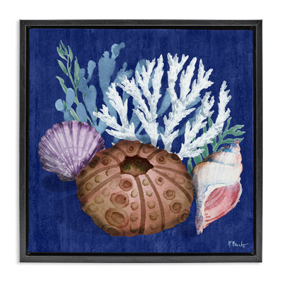 Urchin & Coral Still Life Framed Floater Canvas Wall Art by Paul Brent