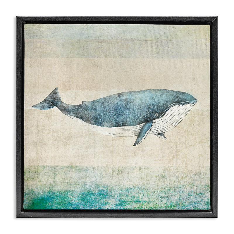 «Rustic Maritime Whale Floater» par JG Studios, Cadre flottant noir de jais, H 25 po x l 25 po