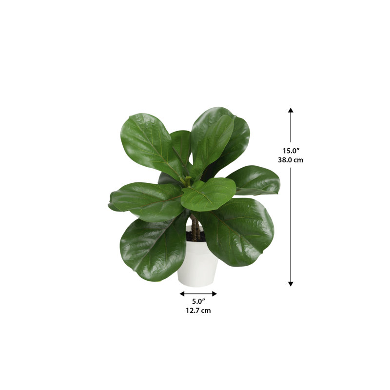 Pot à fleurs décoratif en ficus blanc 15 po Algreen