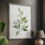 «Fresh Leaf Montage II», reproduction encadrée - bois massif 49518-861985079