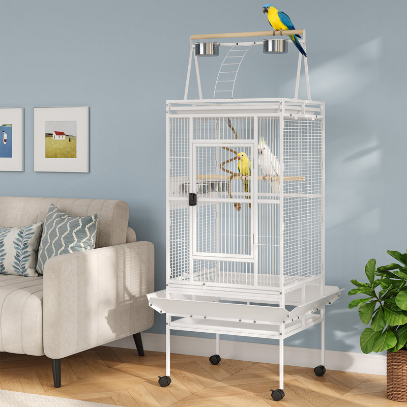 Cage à perroquet 67 po avec support roulant, cage en fer forgé Conure, cage à oiseaux en métal blanc pour petits oiseaux moyens