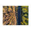 Art sur toile Mei Xu Divide-1693787728