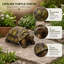 Grande statue de jardin 3D de tortue, design en résine réaliste