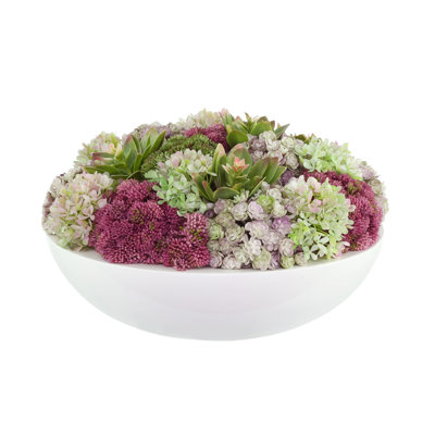Sedum, Hydrangeas and Succulents Arranged in Fiberstone Pot