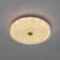 LED Flush Mount