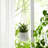 Rosaria Ceramic Hanging Planter-1340959066-1290618981