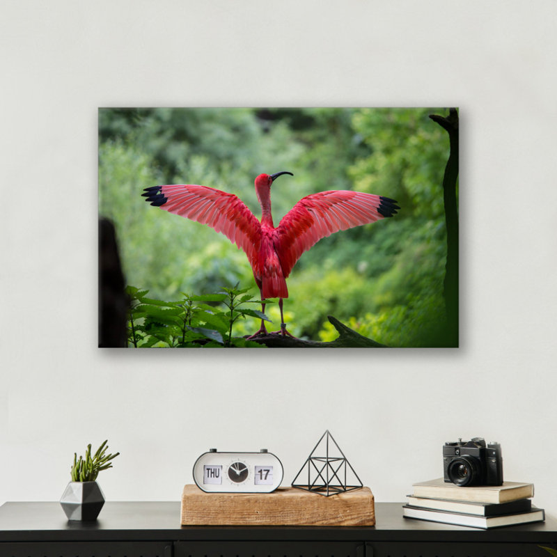 Pink Bird Print - Tropical Nature Wall Art - Flamingo Bird Canvas Poster - Soft Pink Wildlife Artwork - Coastal Tropical Decor - Serene Nature Wall Hanging - Modern Home Decoration Art Print